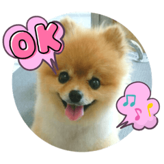 ポメラニアンわんこの挨拶スタンプ