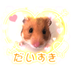 我が家のハム様