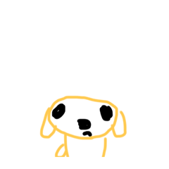 ゴールデンの顔