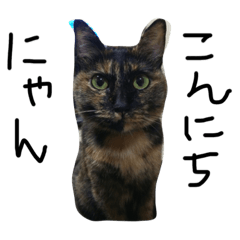 錆び猫スタンプ