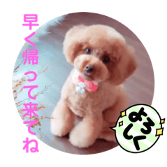 マロンの気持ち〜