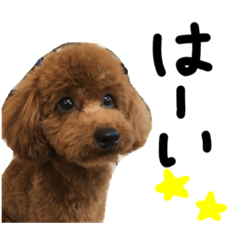 べるるのスタンプ(日常編)