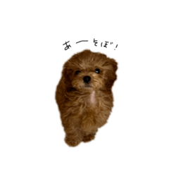 気分屋BiBiさん②