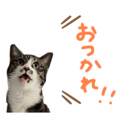 ゆかいな仲間たち@わんこ