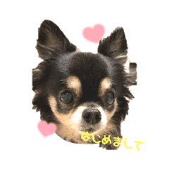 癒し系あいさつスタンプ