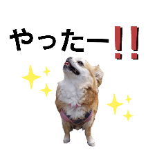 ソラくん その2