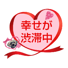 大きめ文字で読みやすい絶対使えるフレーズ