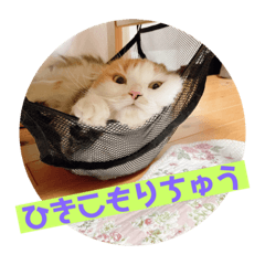 スコ猫ハッチースタンプPart1-デラックス