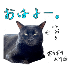 じみーずスタンプvol.1(あかまるver.)