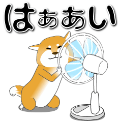 激しく尻尾をふるイヌⅡ-2【柴犬】