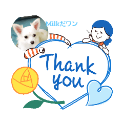 強烈甘えん坊Milk(ミルク)だワンッ！