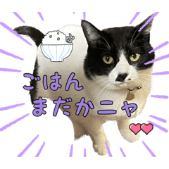 はるこなつあっきー