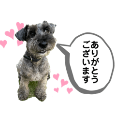 ロンとライトEpisode2