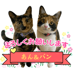 あんパンの日常