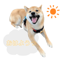 自称豆柴スタンプ