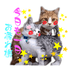 ナッツさんと小次郎くん。