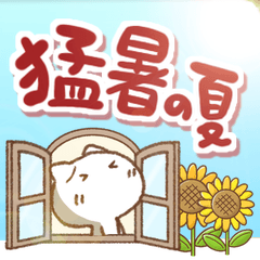 ねこっち【猛暑の夏】