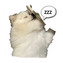 愛犬ちみのスタンプ