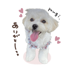 むぎちゃん♡スタンダード