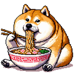 ラーメンを喰らう！太っちょ柴犬