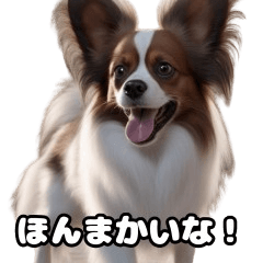 なにわのパピヨン