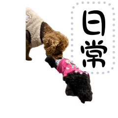 ラテ、ナギ vol.1