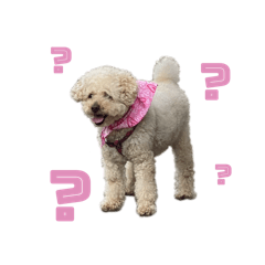 毎日ららぞうくん（基本）