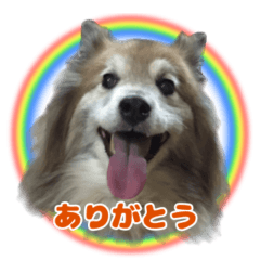 ふんわりレイたんスタンプ