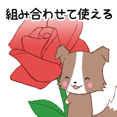 動く！組み合わせて使えるちびボーダーC