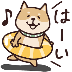 しばいぬ♡ゆるい夏