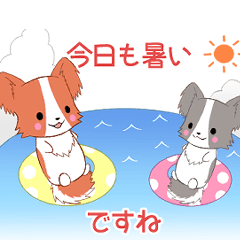 飛び出す！ちびパピヨン11【夏】