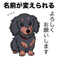 名前入りダックス：ロングブラタン