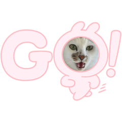 そうだよな〜なる〜だよな〜