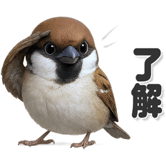 毎日使える！かわいいスズメ