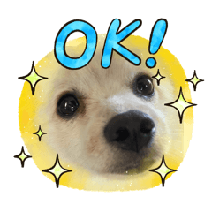 Noon noon_20260104113647