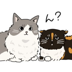 毛色のかわったウニとウル