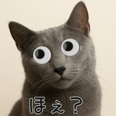 動くおめめ猫-ロシアンブルー