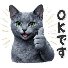 【敬語】使いやすい！ロシアンブルー