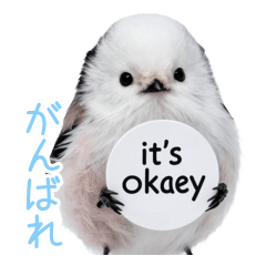 全肯定シマエナガ★やさしいエール