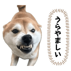 佐藤家のはちゃめちゃな日常スタンプ