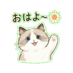 ラグちゃん｜毎日つかえるひとことスタンプ