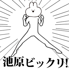 キモ動く池原うさぎ！