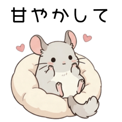 ゆるっとチンチラのほめてほしい日
