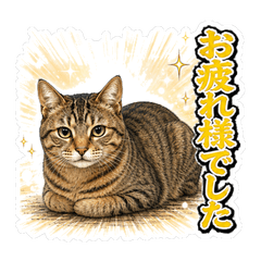 キジトラ猫の敬語スタンプ