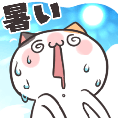 ダルにゃんの夏！