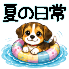 チワビーの毎日。夏の日常編