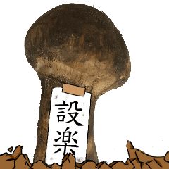 松茸研究家設楽さんのマツタケ