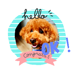 トイプードル,,アトム君スタンプ