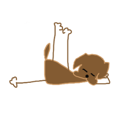 ヨガするチョコラブ