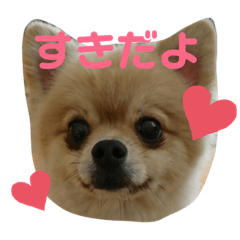 レオくんの日常♡